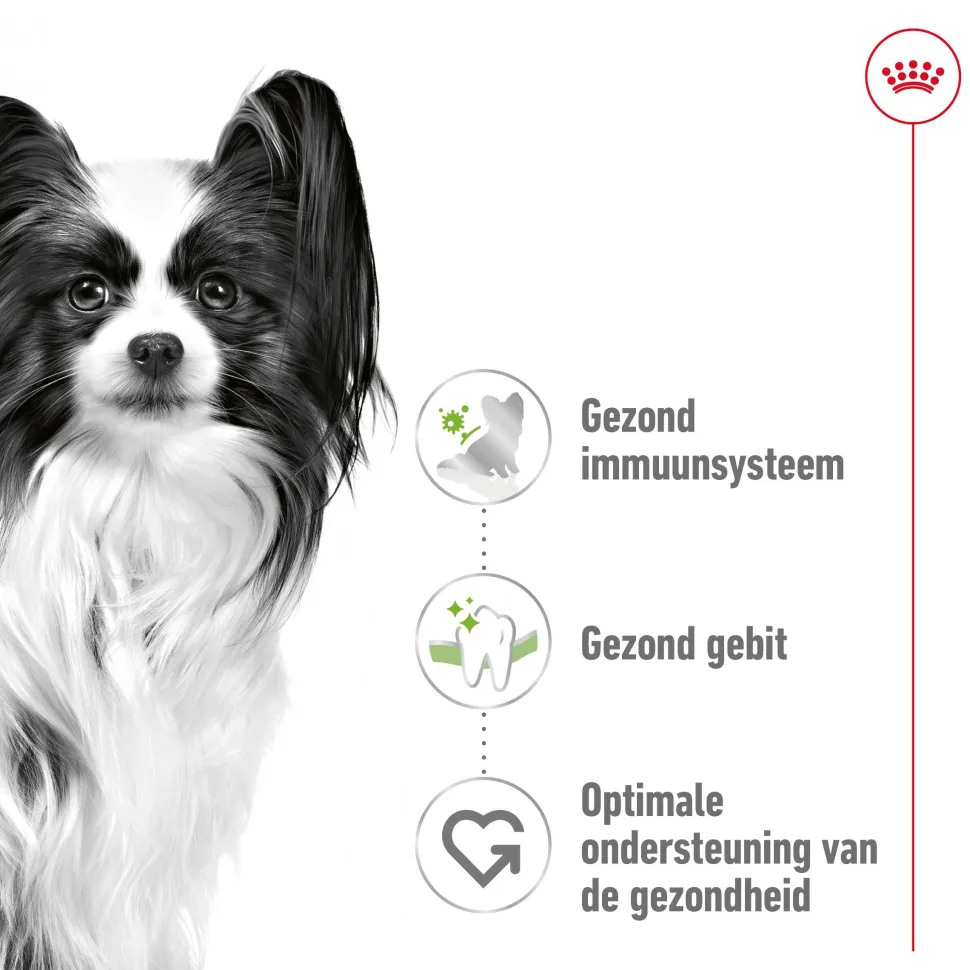 Royal Canin X-Small Adult - Hondenvoer