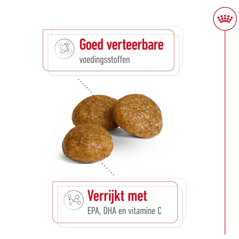 Royal Canin X-Small Adult - Hondenvoer