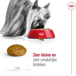 Royal Canin X-Small Adult - Hondenvoer
