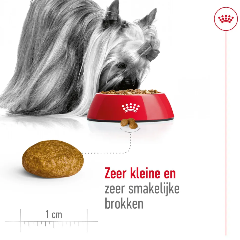 Royal Canin X-Small Adult - Hondenvoer