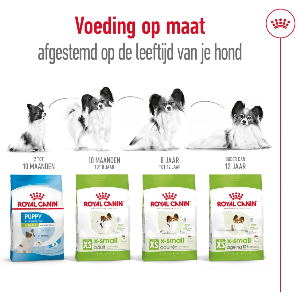 Royal Canin X-Small Adult - Hondenvoer