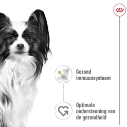 Royal Canin X-Small Adult Wet - Maaltijdzakje - Hondenvoer