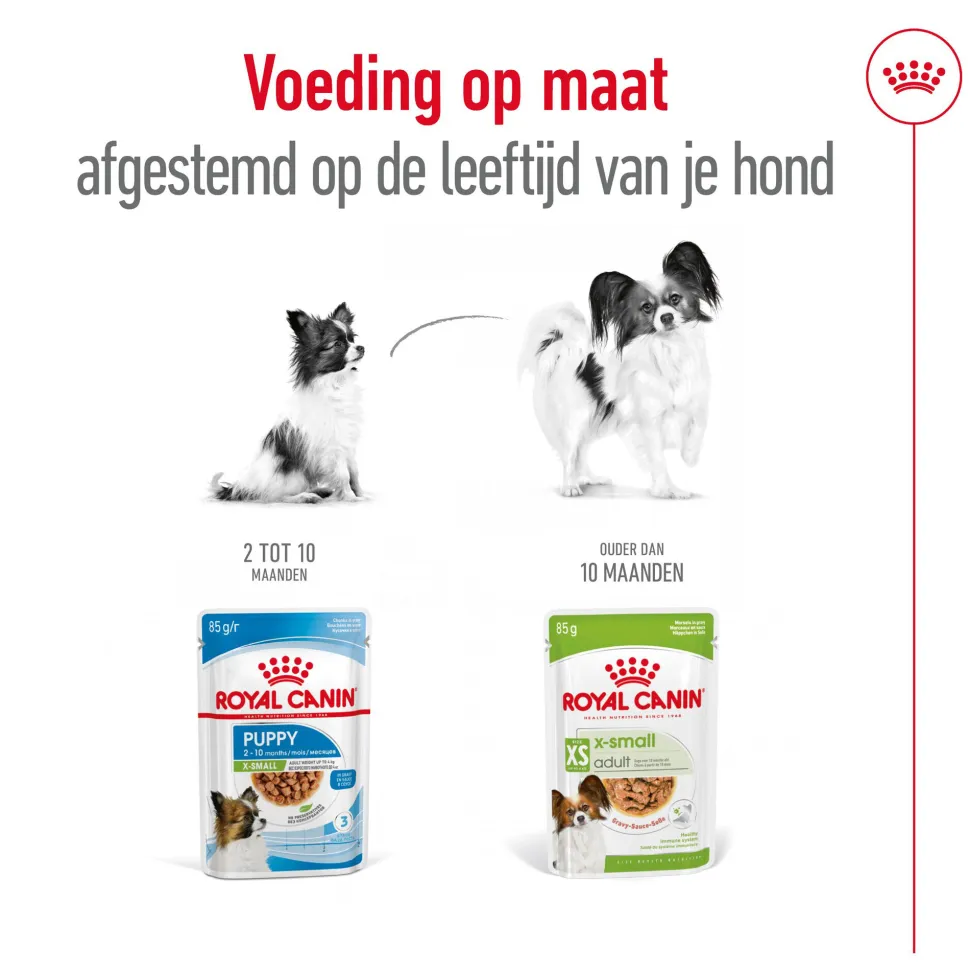 Royal Canin X-Small Adult Wet - Maaltijdzakje - Hondenvoer