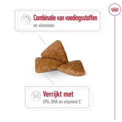 Royal Canin X-Small Ageing 12+ - Hondenvoer