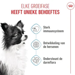 Royal Canin X-Small Puppy - Hondenvoer