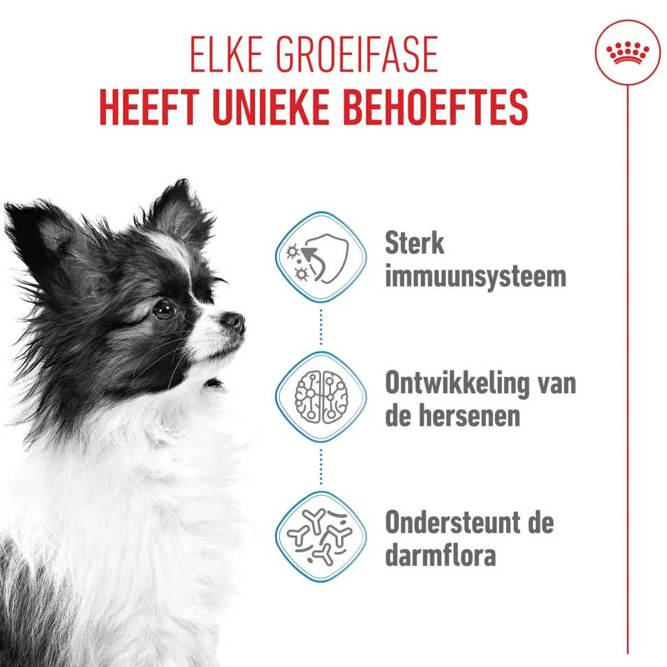 Royal Canin X-Small Puppy - Hondenvoer