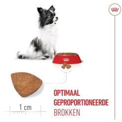 Royal Canin X-Small Puppy - Hondenvoer