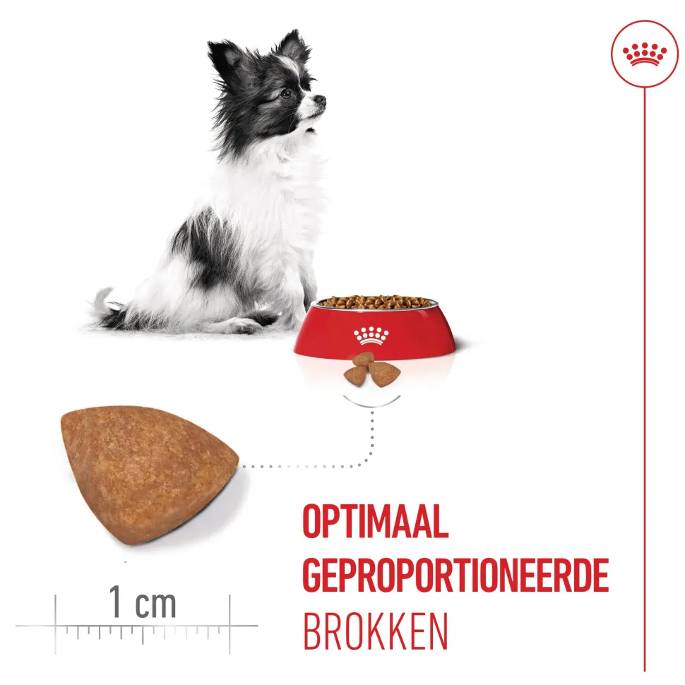 Royal Canin X-Small Puppy - Hondenvoer