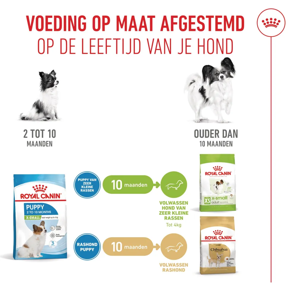 Royal Canin X-Small Puppy - Hondenvoer