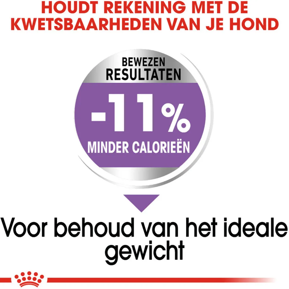Royal Canin X-Small Sterilised - Hondenvoer