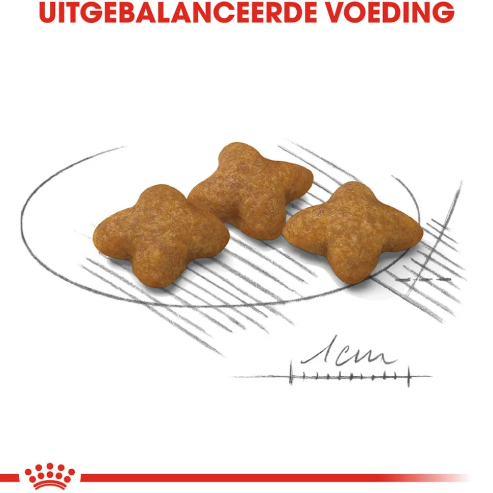 Royal Canin X-Small Sterilised - Hondenvoer