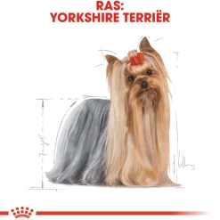 Royal Canin Yorkshire Terrier Adult - Hondenvoer