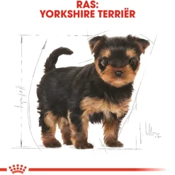 Royal Canin Yorkshire Terrier Puppy- Hondenvoer