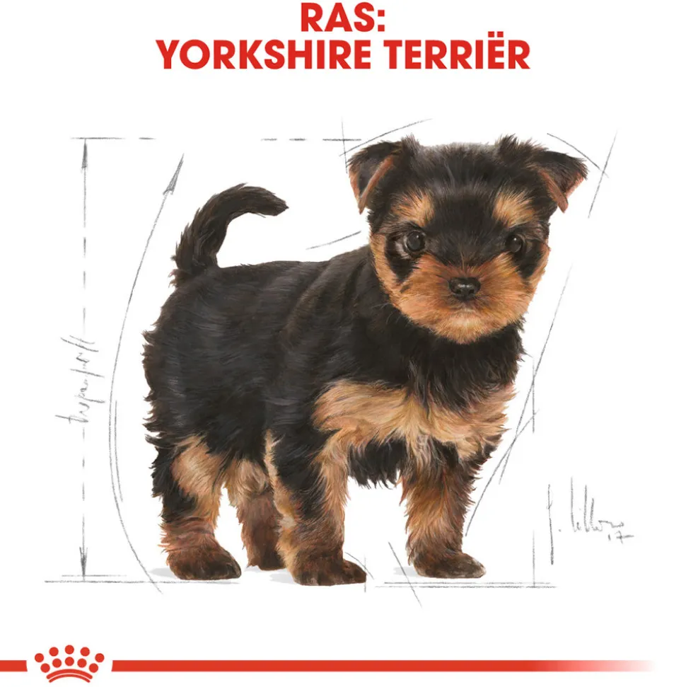 Royal Canin Yorkshire Terrier Puppy- Hondenvoer