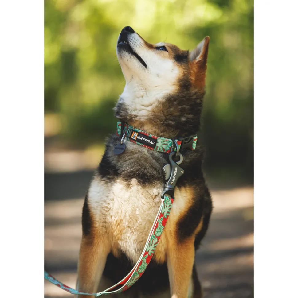 Ruffwear Crag Hands-Free Leash