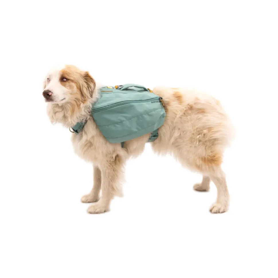 Ruffwear Front Range Day Pack