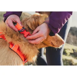 Ruffwear Front Range Halsband