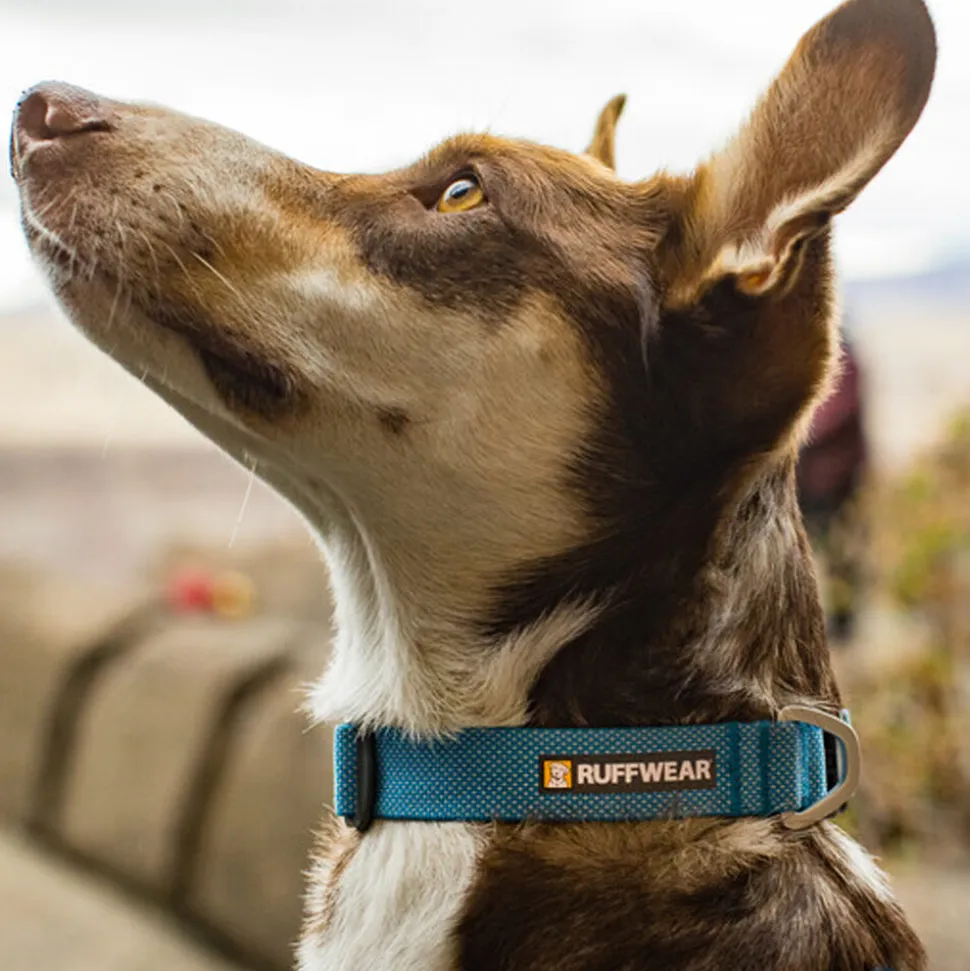 Ruffwear Hi & Light Collar