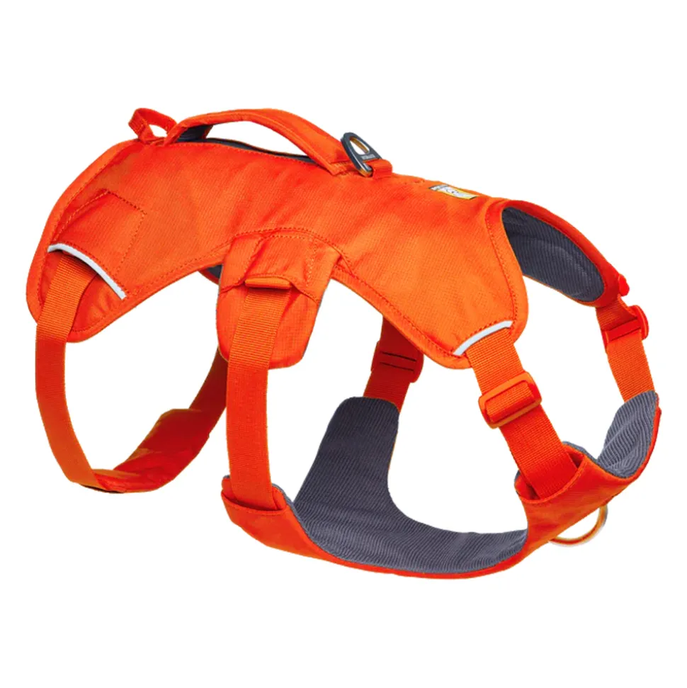 Ruffwear Webmaster Harness