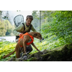 Ruffwear Webmaster Harness