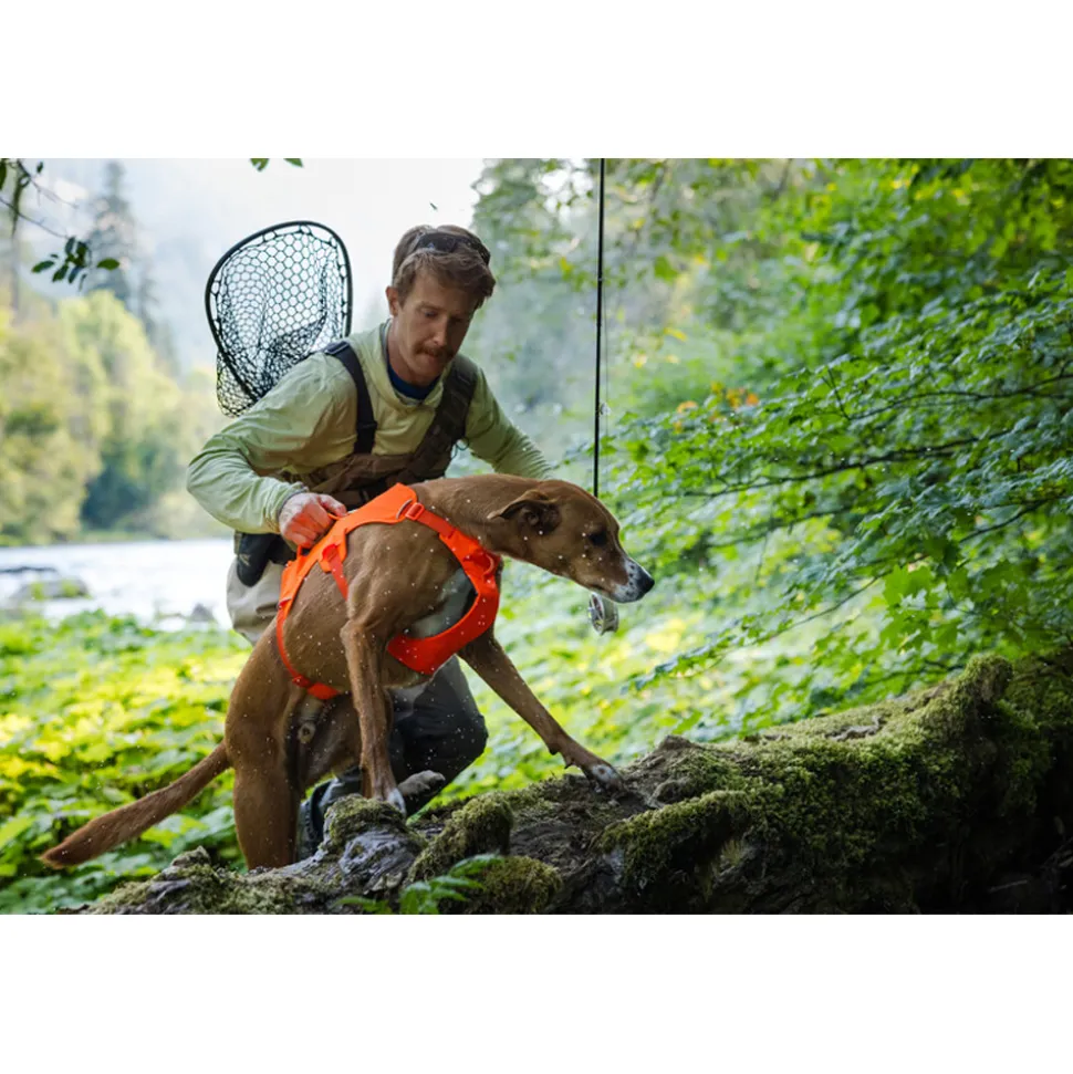 Ruffwear Webmaster Harness