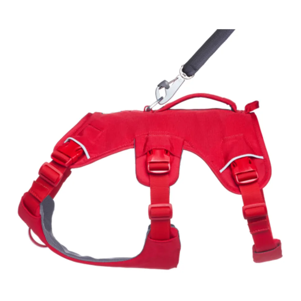 Ruffwear Webmaster Harness