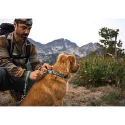 Ruffwear Web Reaction Halsband