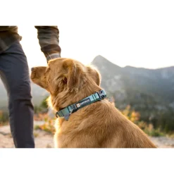 Ruffwear Web Reaction Halsband