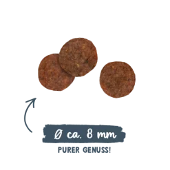 Sanabelle Adult - Forel