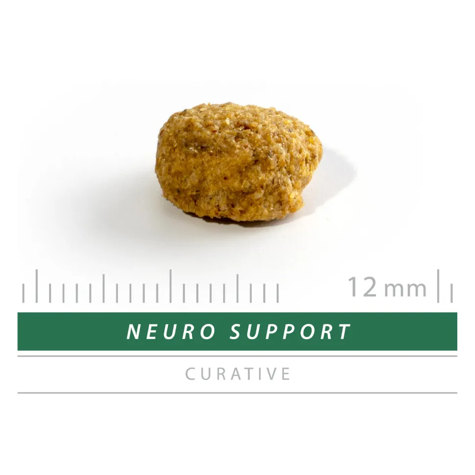 Sanimed Neuro Support