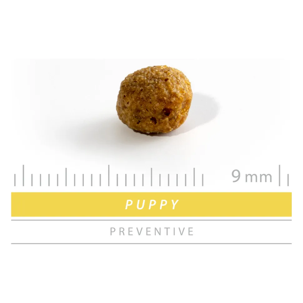Sanimed Puppy