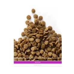 Sanimed Renal, Liver and Stones Cat