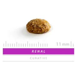 Sanimed Renal, Liver and Stones Cat