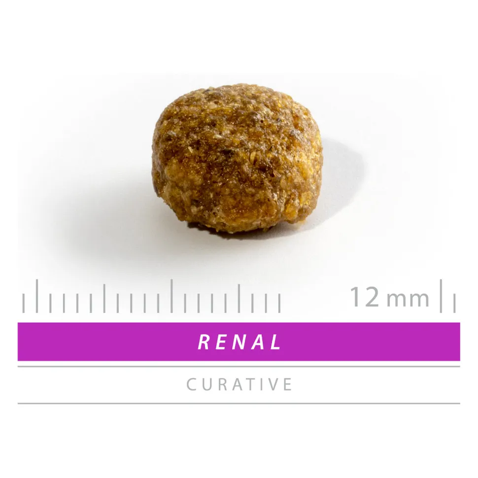 Sanimed Renal/Liver/Stones Dog