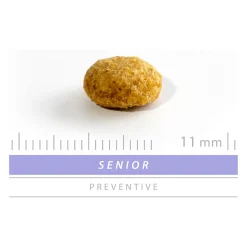 Sanimed Senior Cat