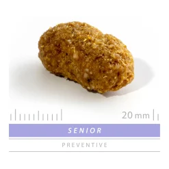 Sanimed Senior Dog