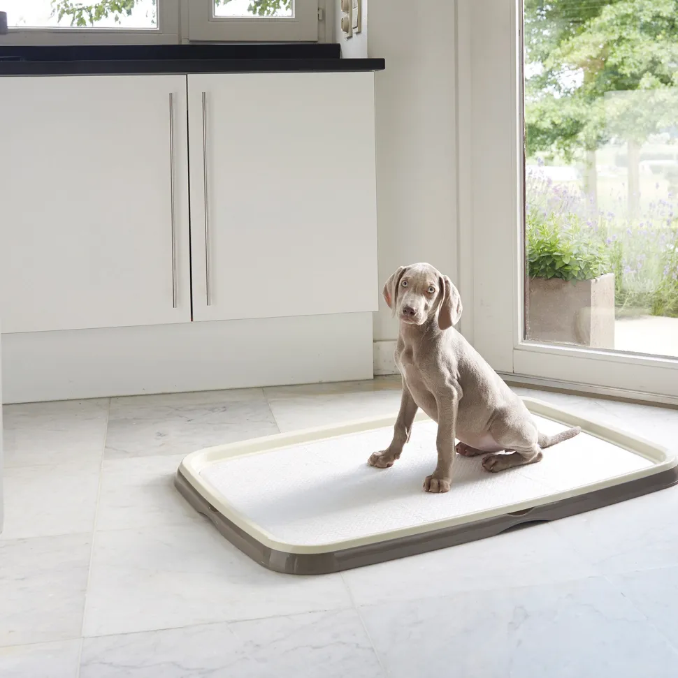 Savic Puppy Trainer + Pads
