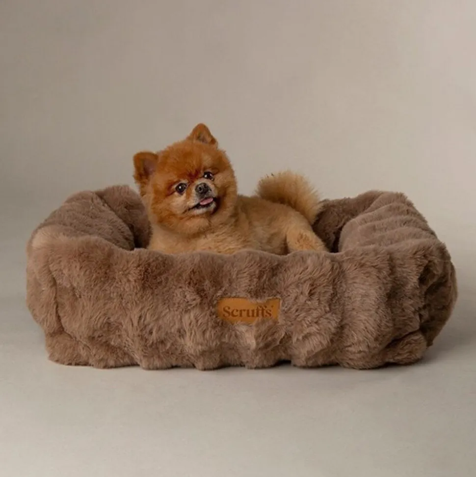 Scruffs Alpine Box Bed