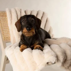 Scruffs Aspen Blanket