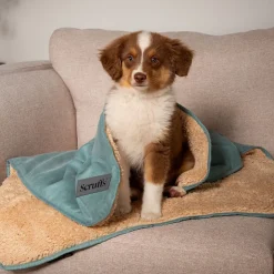 Scruffs Cosy Blanket