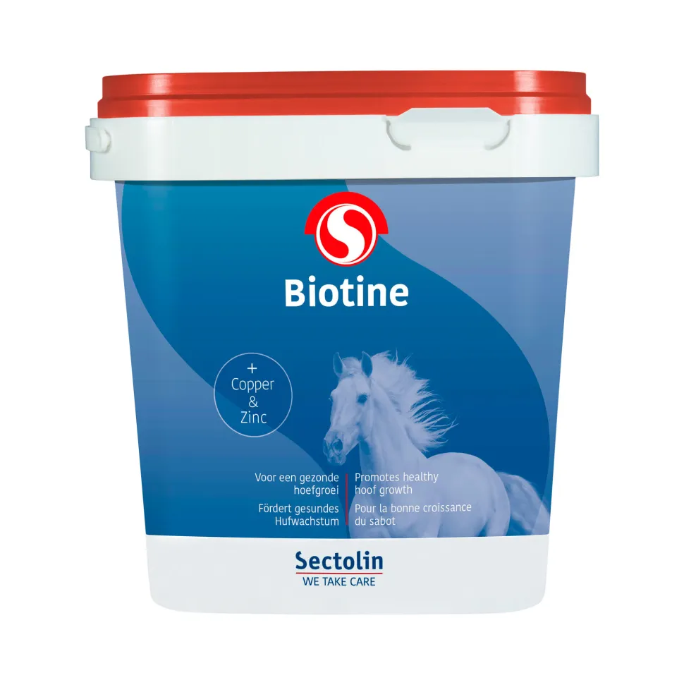 Sectolin Biotine