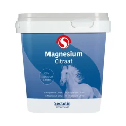 Sectolin Equivital Magnesium