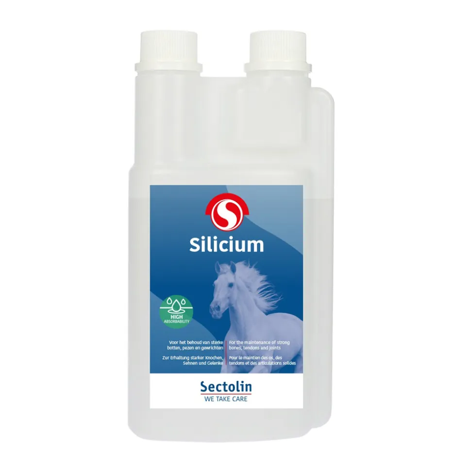 Sectolin Silicium
