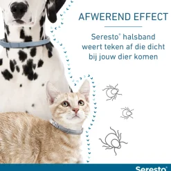 Seresto Hond