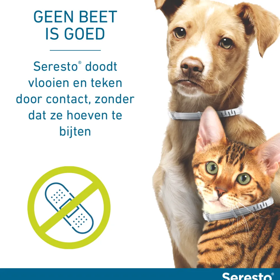 Seresto Hond