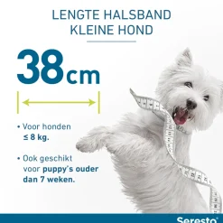 Seresto Hond