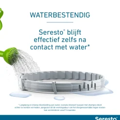 Seresto Kat