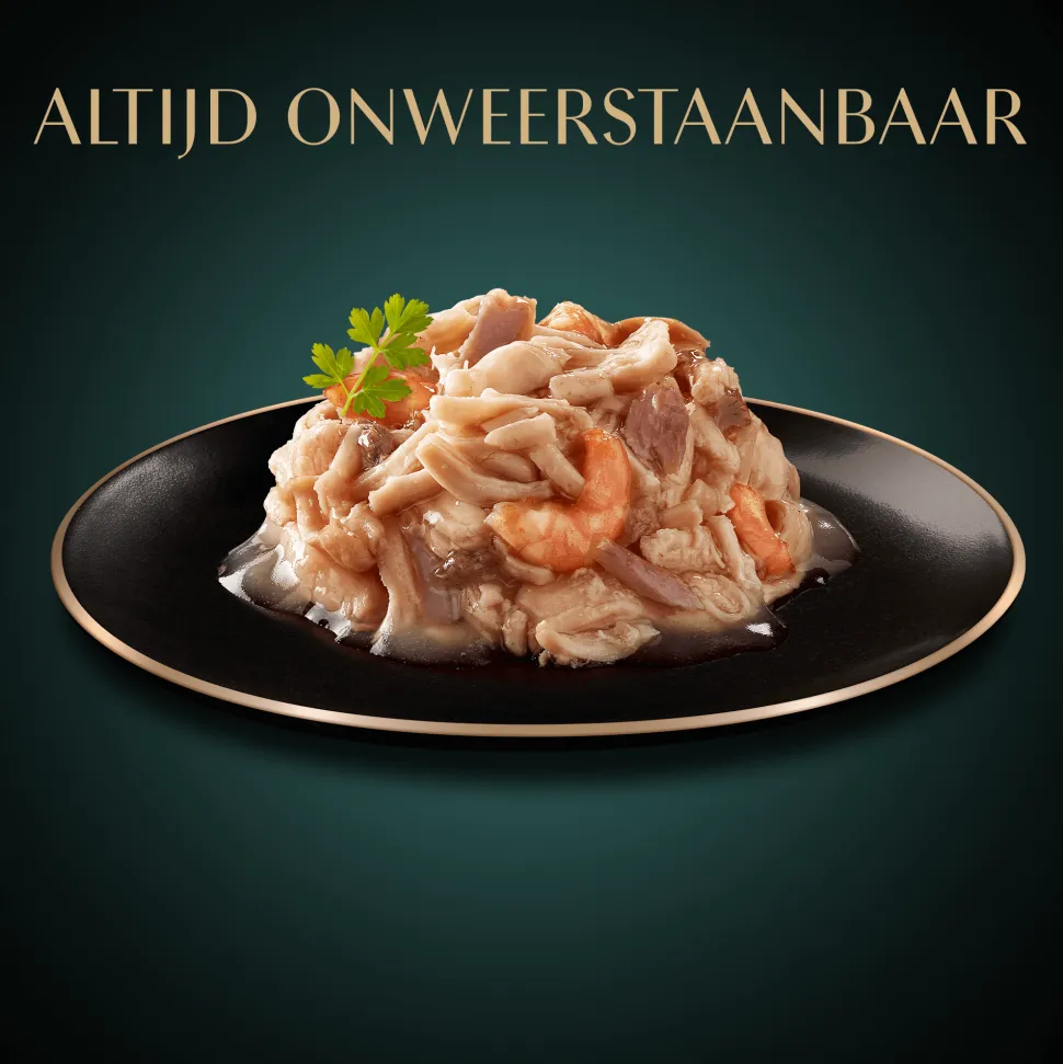 Sheba Filets - Kip met garnaal en zeevis