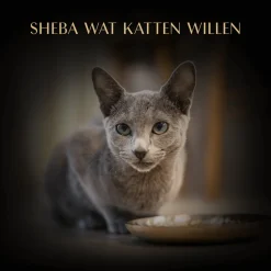 Sheba Filets - Kip met garnaal en zeevis