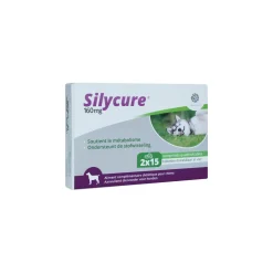 Silycure